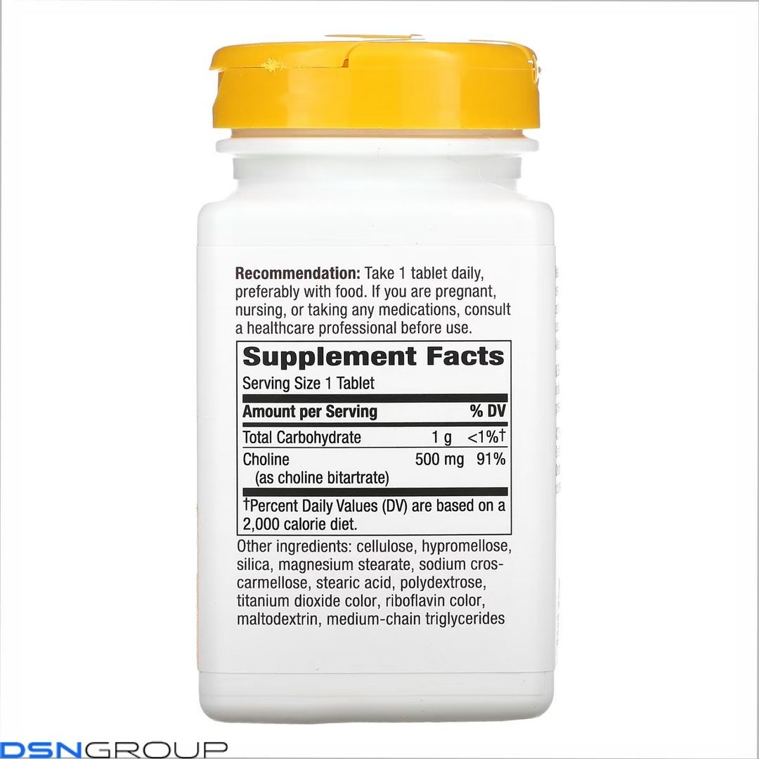 (20.02 Ожидание) Choline 500 mg - 100 tabs