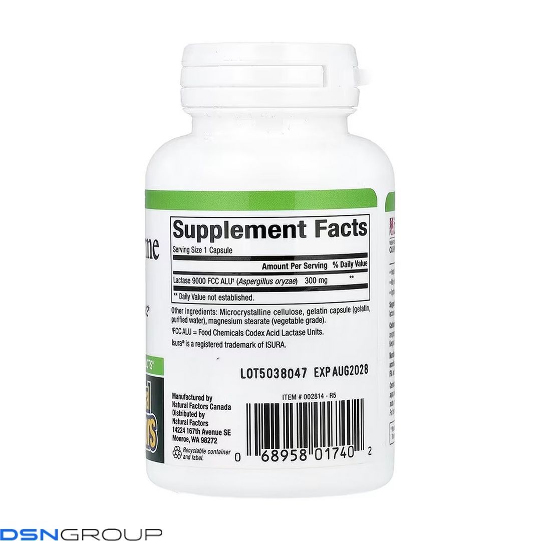 Lactase Enzyme - 60 caps