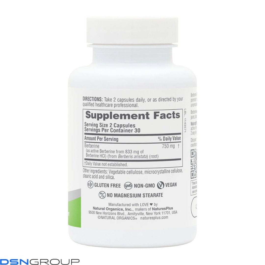 Berberine 750 mg - 60 caps