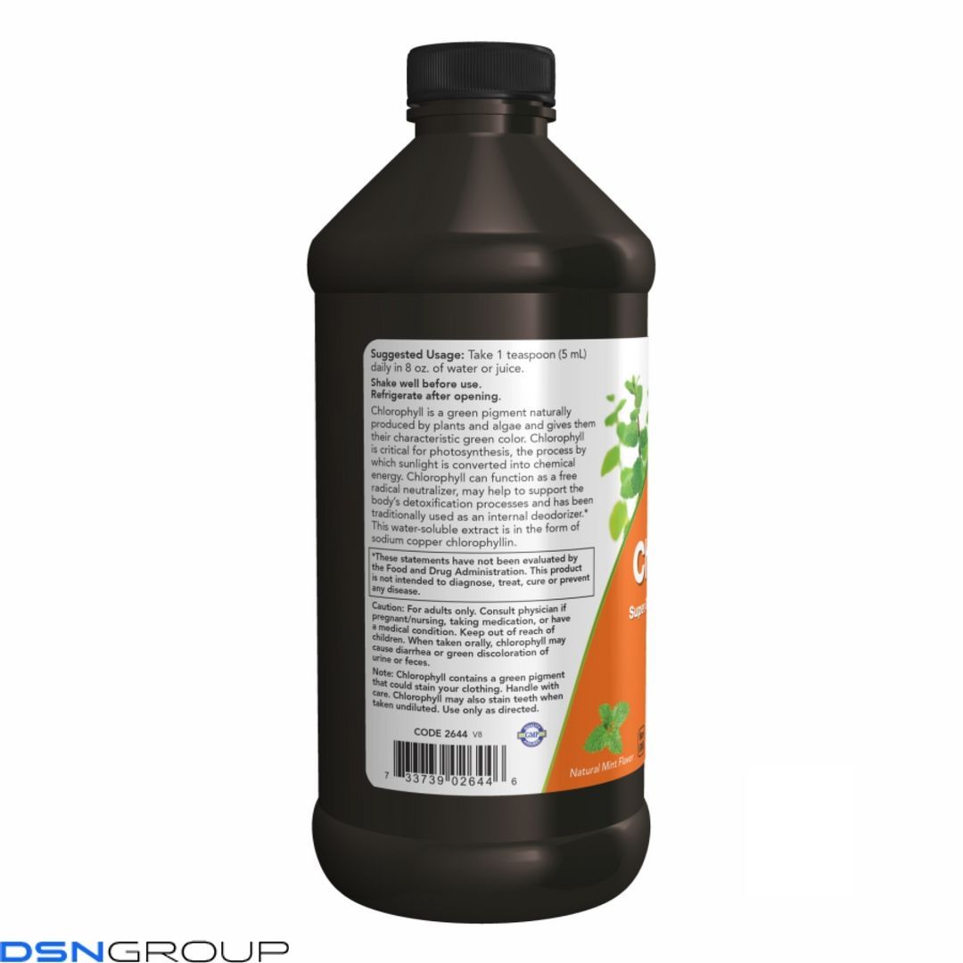 Chlorophyll Liquid Mint - 16 oz