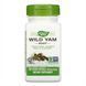 (20.02 Ожидание) Wild Yam - 100 vcaps