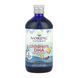 Children's DHA - 473 ml (Затерта дата)