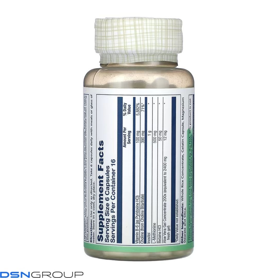 Lipotropic + 1000 - 100 caps