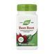 Beet Root Powder - 100 vcaps