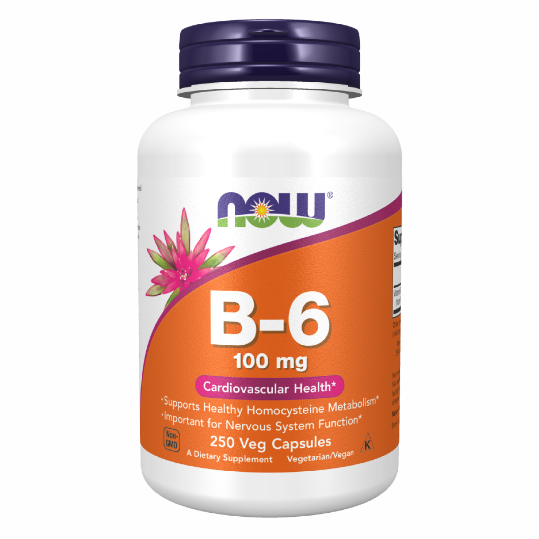 Вітамін B-6 (піридоксин) 100 мг, 250 вегетаріанських капсул Now Foods