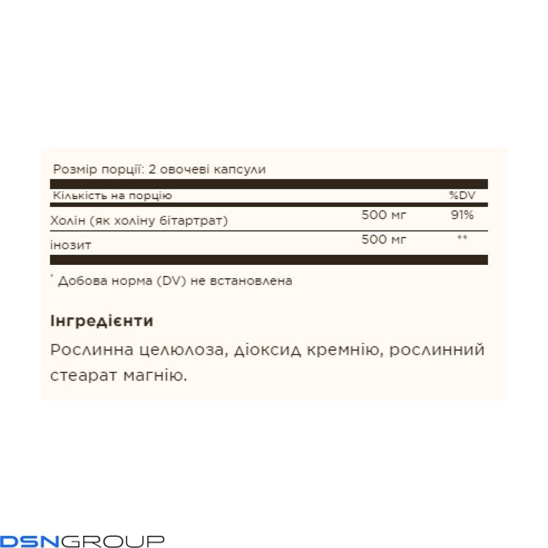 19.01 (Очікування) Choline/Inositol 500 mg/500 mg - 100 vcaps