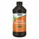 (12.02 Ожидание) Chlorophyll Liquid Mint - 16 oz