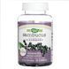 (20.02 Ожидание) Sambucus Kids Gummy - 60 ct