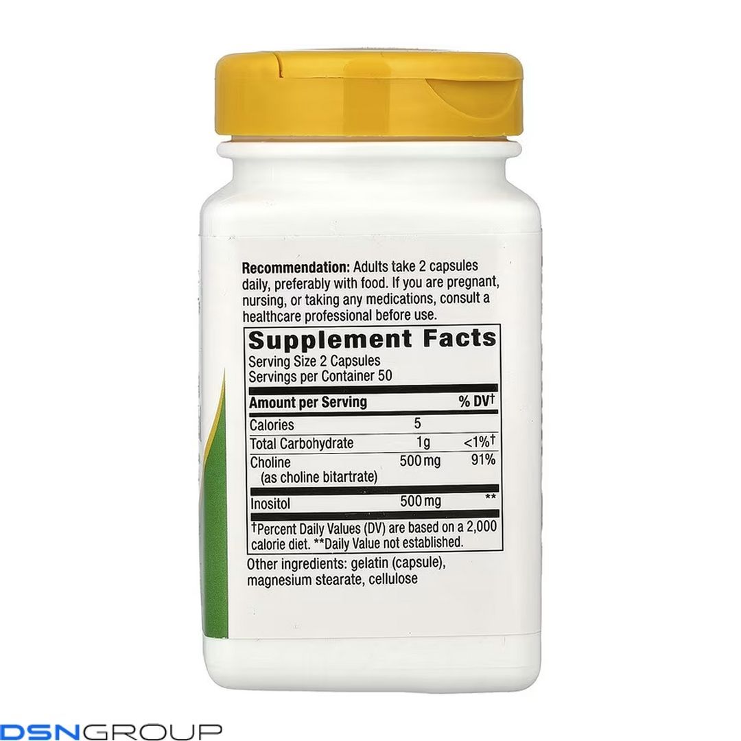 Choline & Inositol - 100 caps