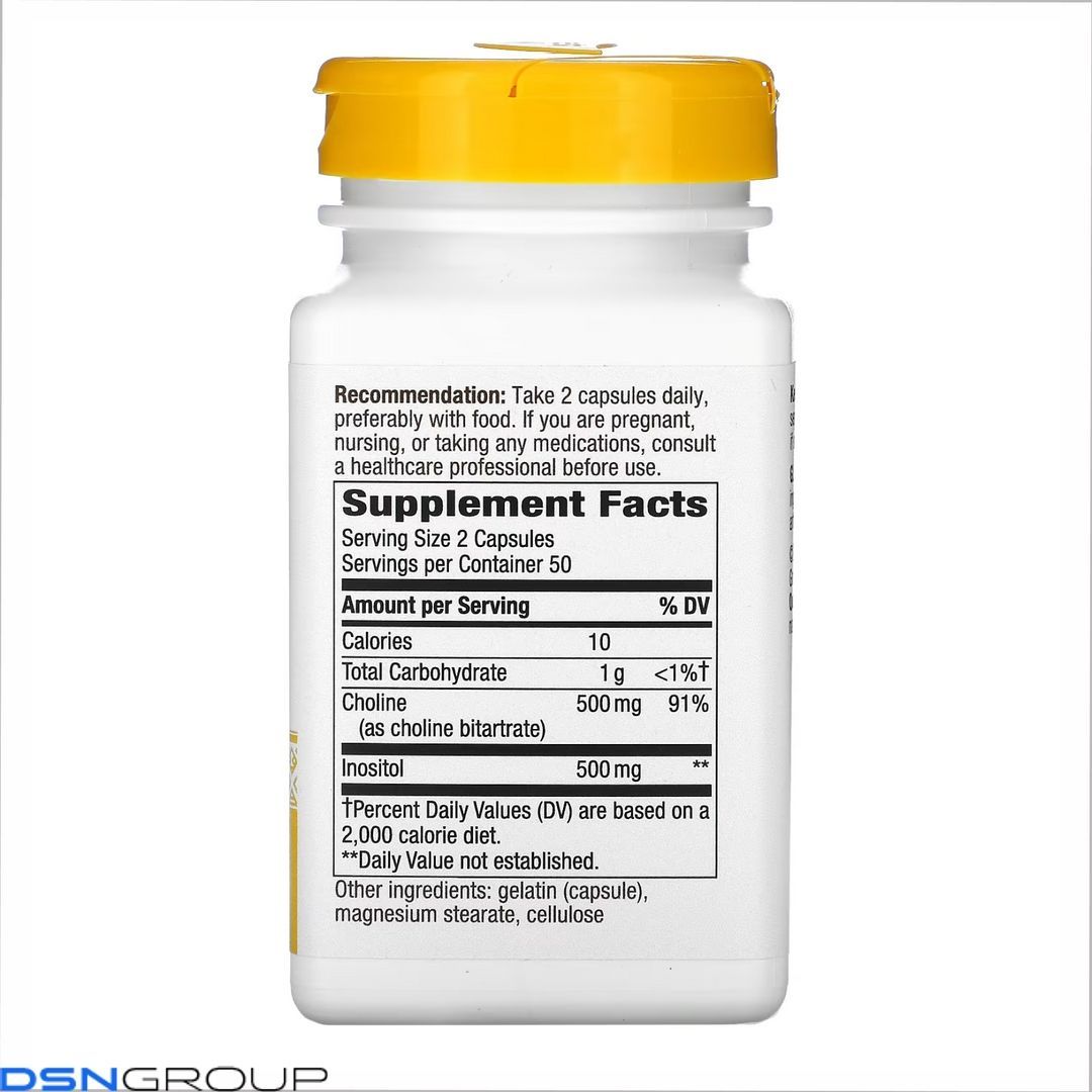 Choline & Inositol - 100 caps
