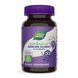 (20.02 Ожидание) Sambucus Kids Immune Gummy - 40 gummies
