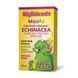 BigFriends Echinacea Alcohol-Free Fresh Herb Tincture for Kids - 50 ml (Повреждена банка)