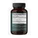 Reishi Mushroom 1000 mg - 60 vegcaps (До 02.27+Пошкоджена кришка) 2024-11-0671 фото 2